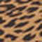 Monk's Robe