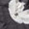 Whitecap