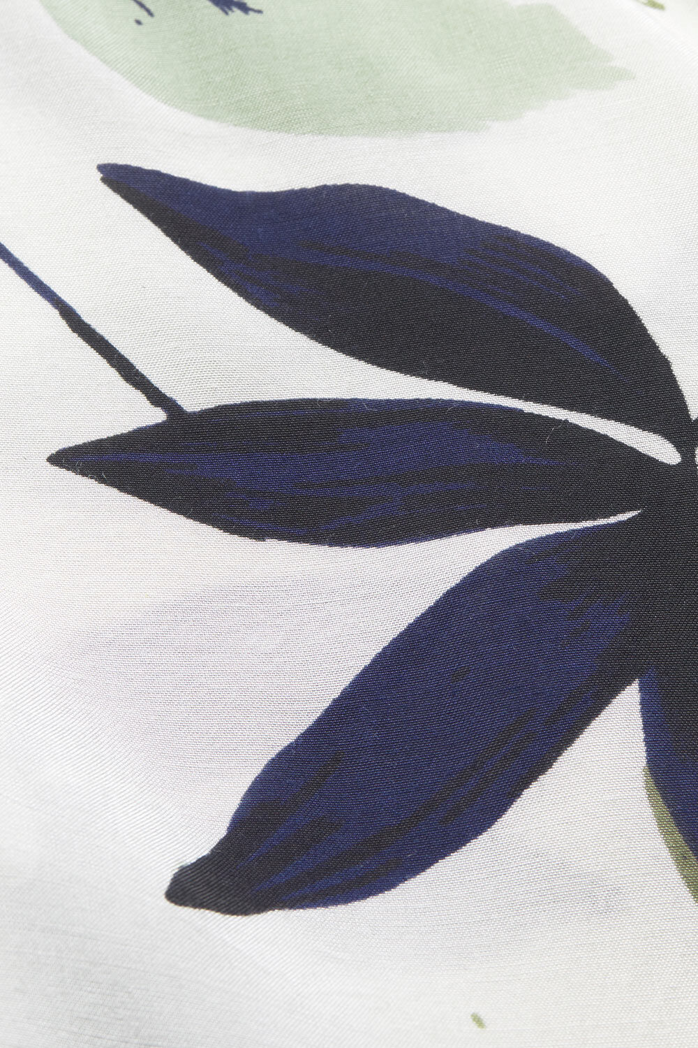 DARBY TOPP, Desert sage