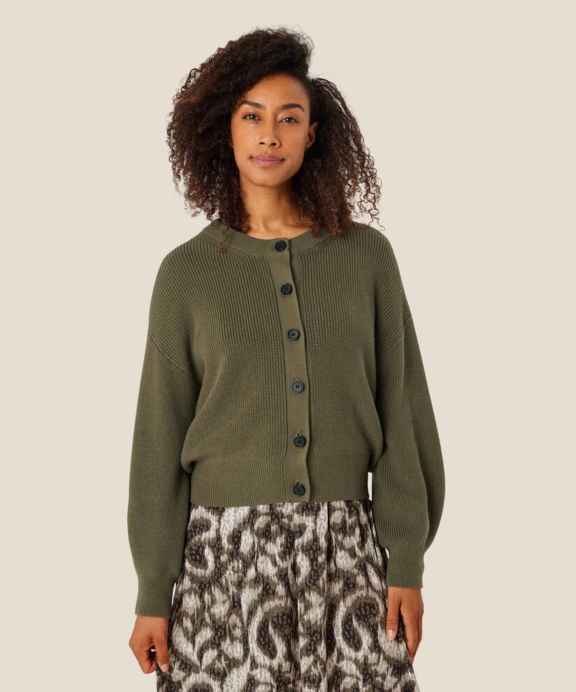 Linden Kofta, Sea Turtle