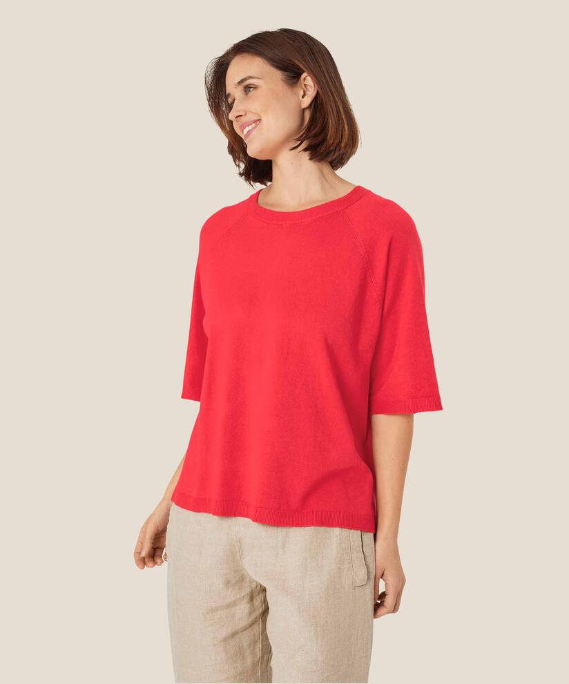 Fanillo Topp, Hibiscus