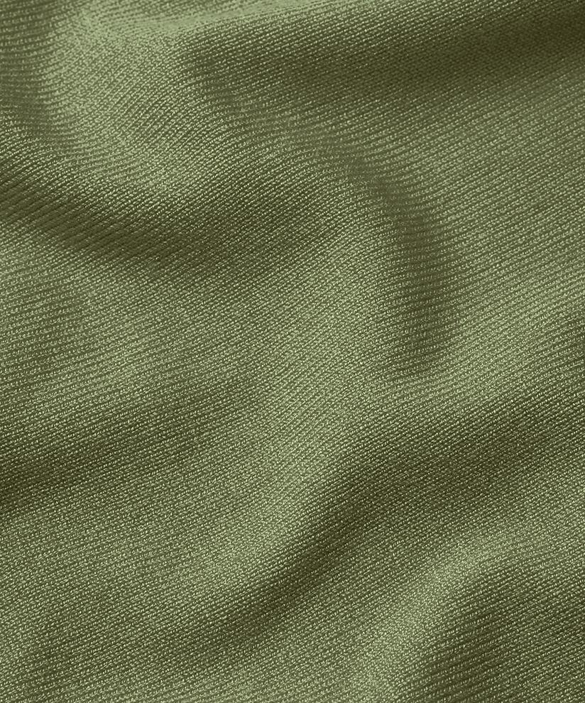 Fanasi Topp, D. Lichen Green