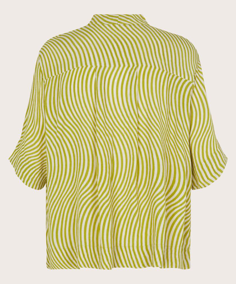 Batia Blus, Lentil Sprout
