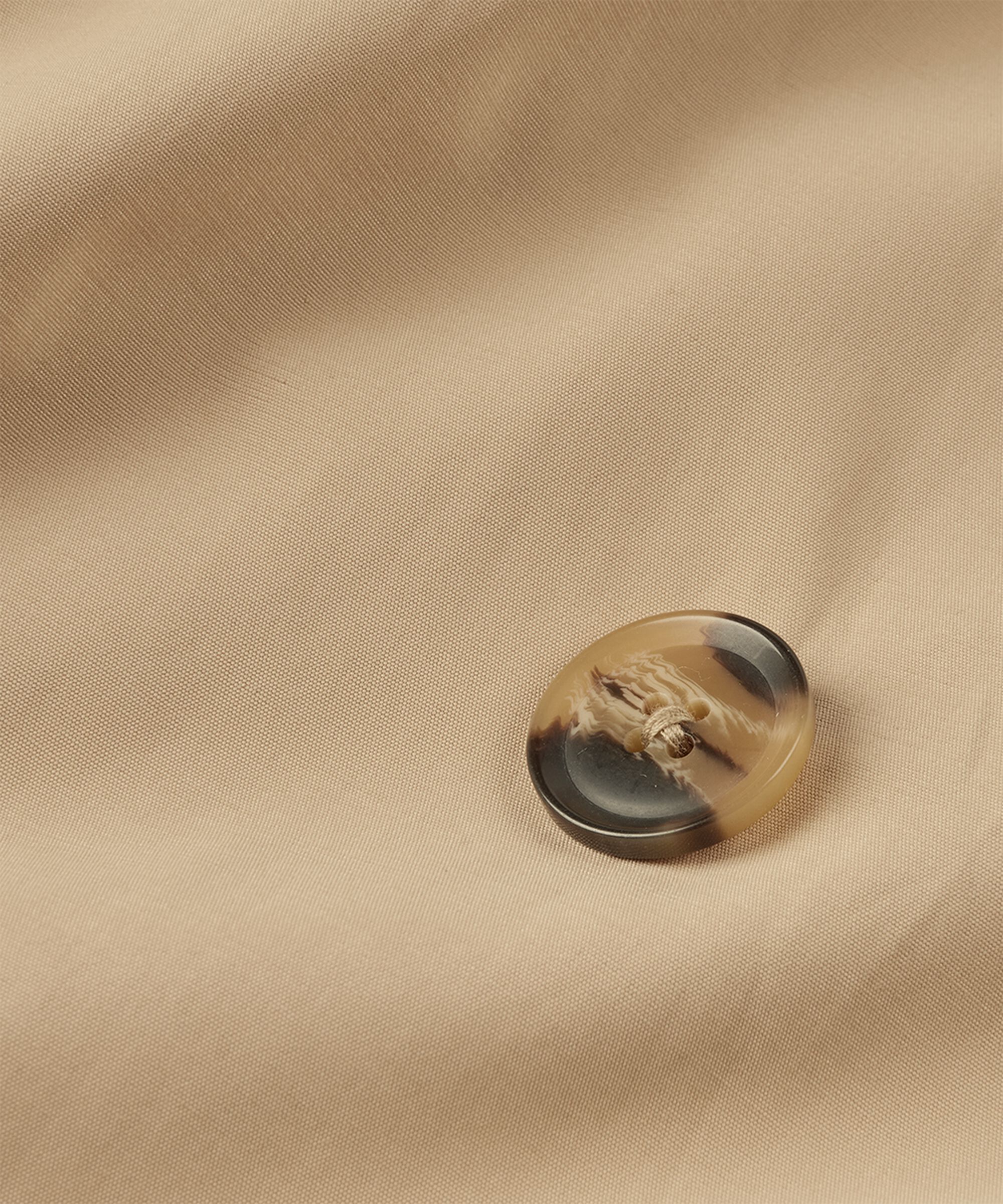 Tahmina Kappa, Safari