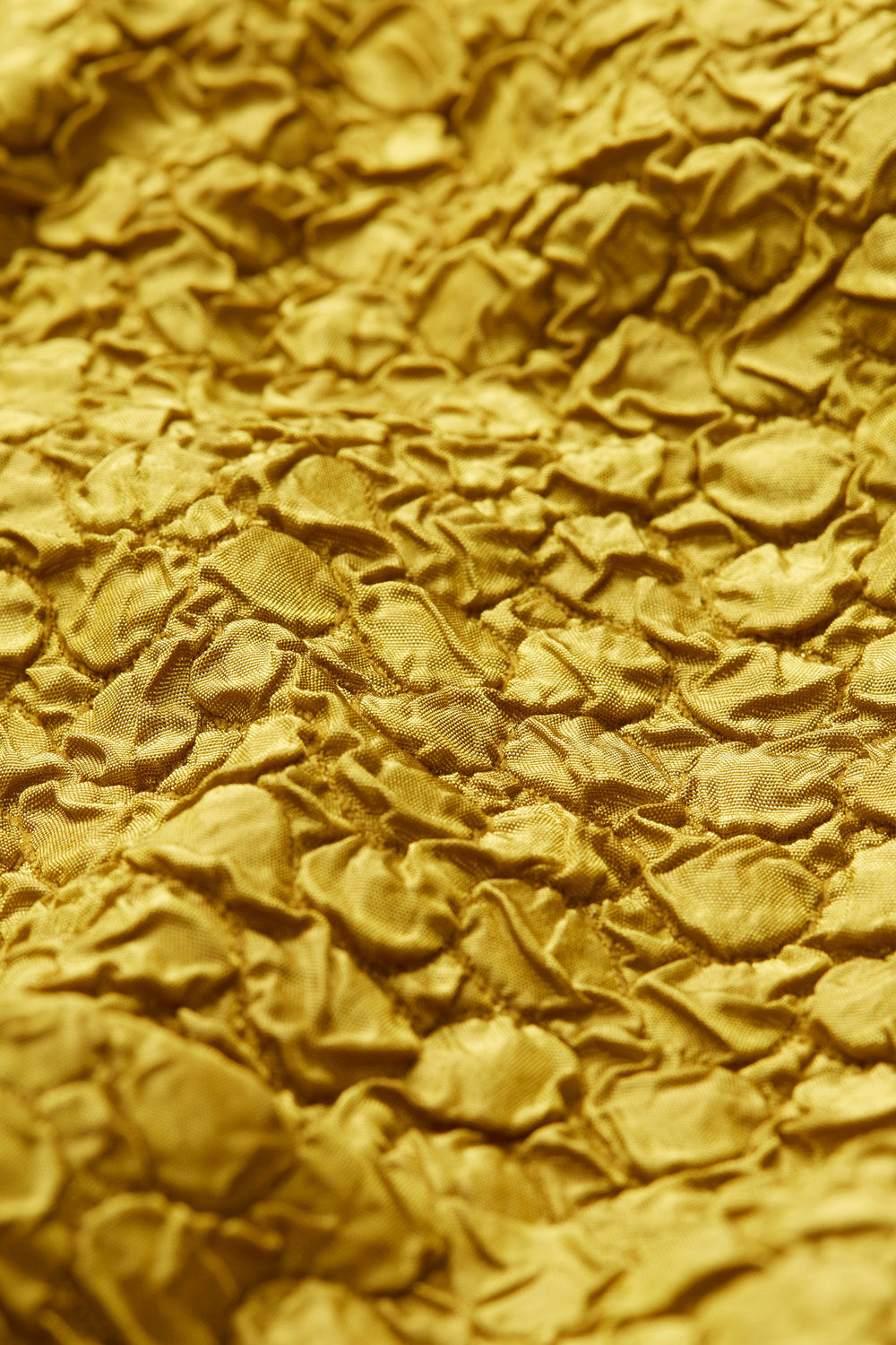 JELINA JACKA, Olive Oil