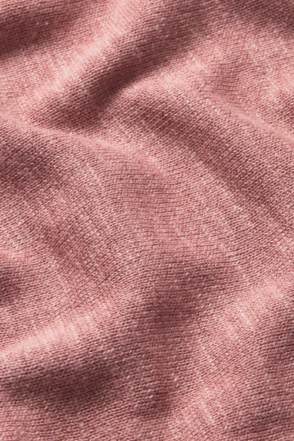 FABIA TOPP, Ash rose