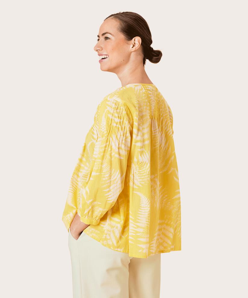 DONALDI BLUS, Celery
