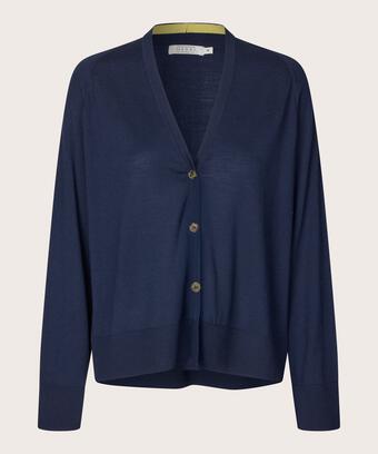 Lennox Ullkofta, Navy Blazer