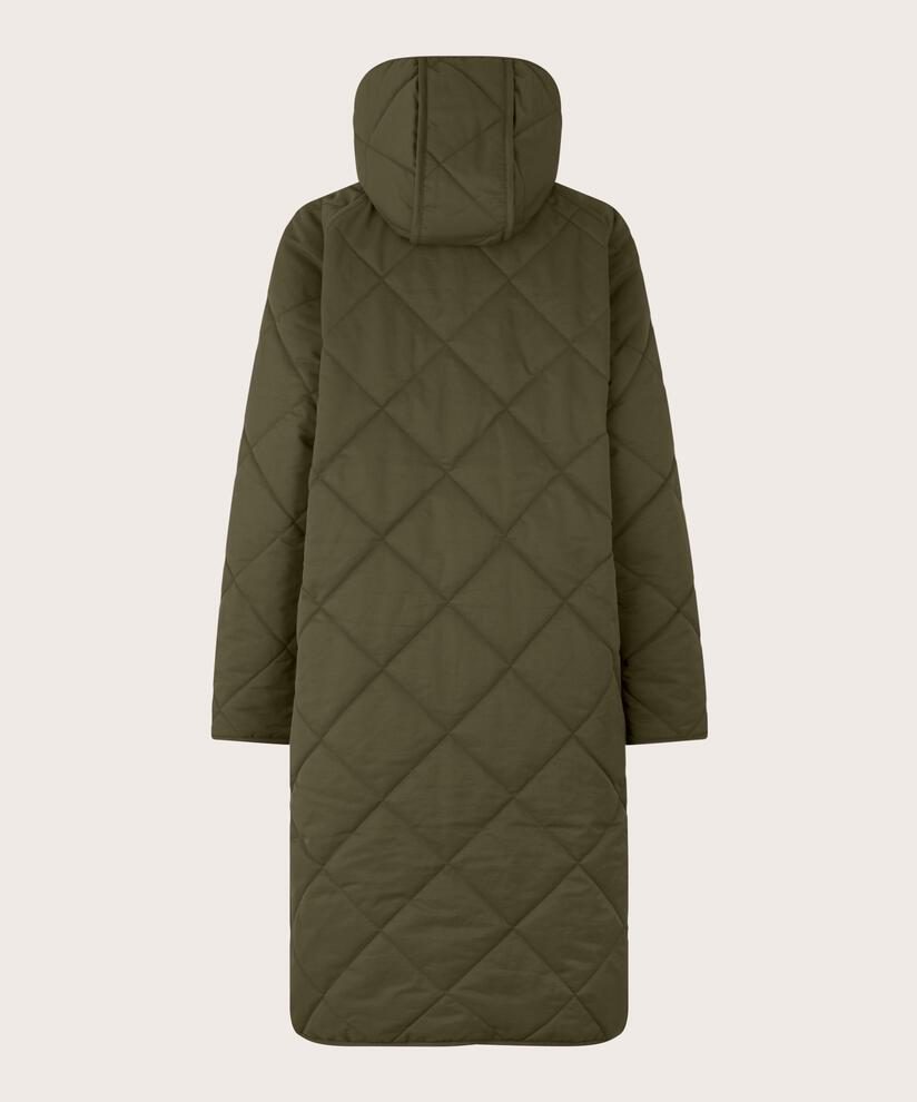 Tinka Kappa, Olive Night
