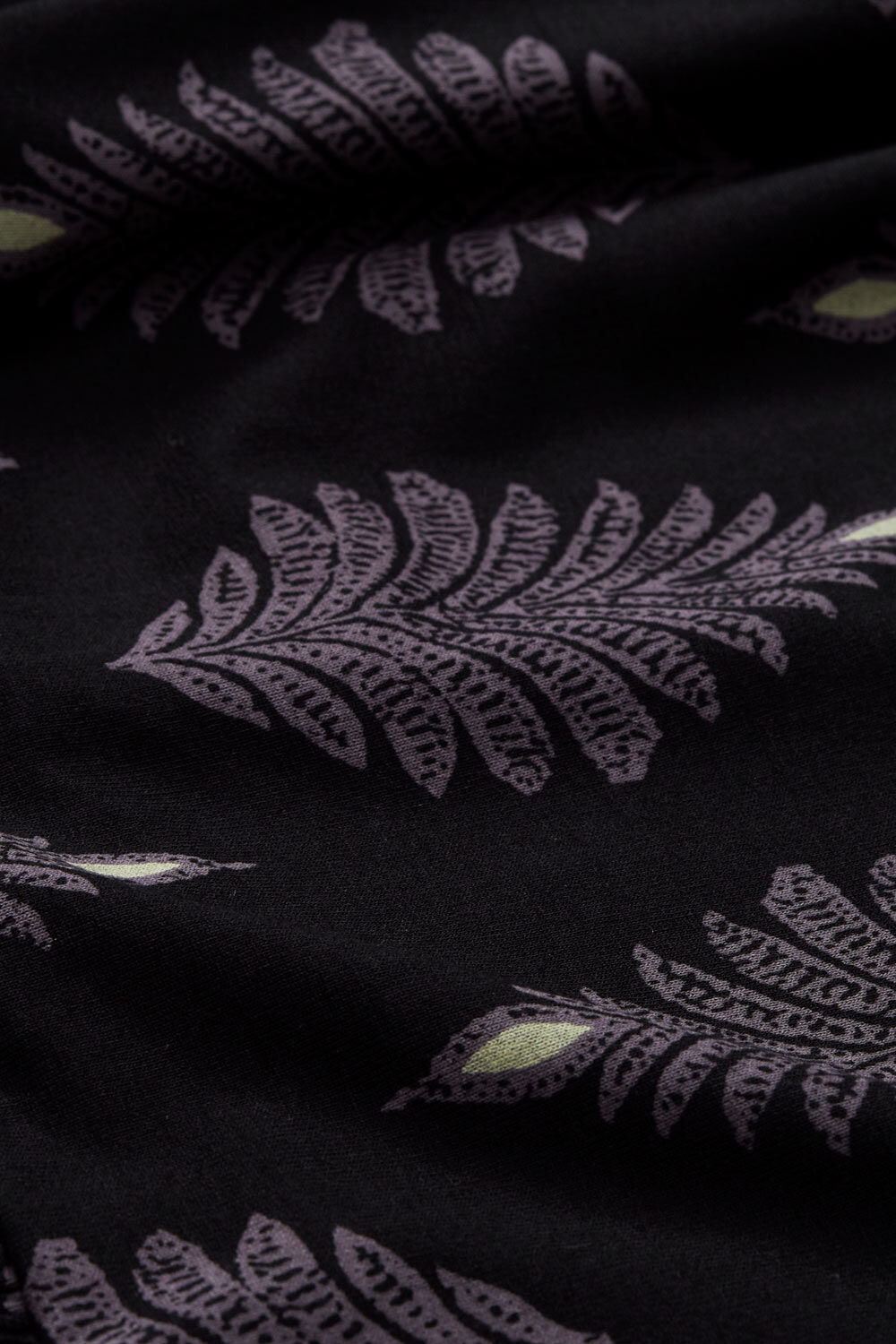 GLENICA TUNIKA, Shark