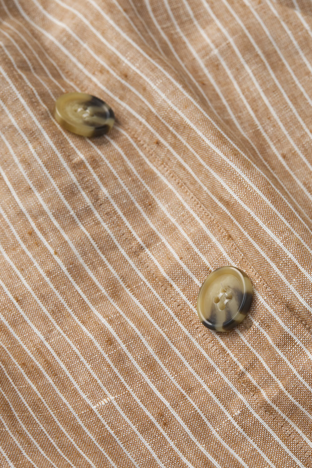 SACHA KJOL, Chipmunk