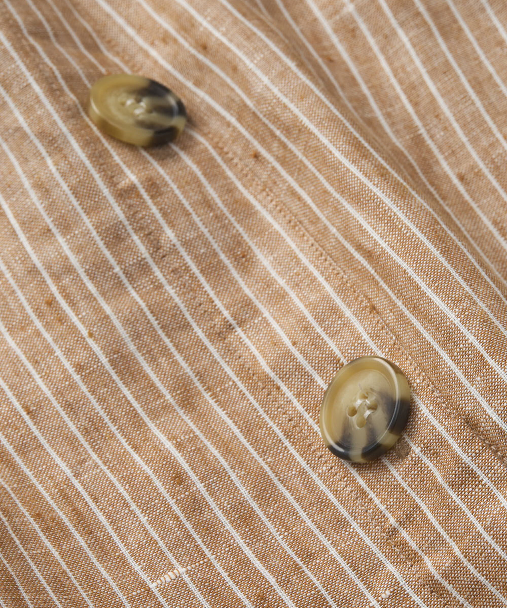 SACHA KJOL, Chipmunk