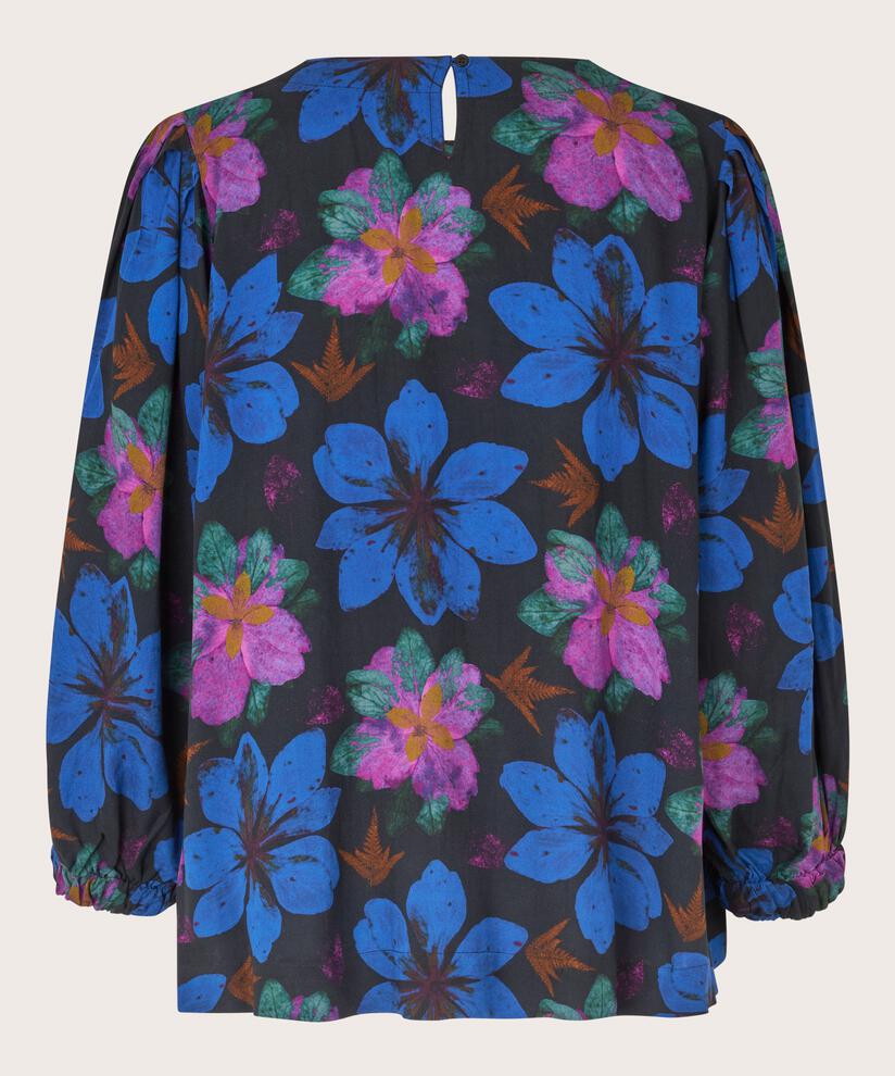 Brisa Blus, Wild Aster