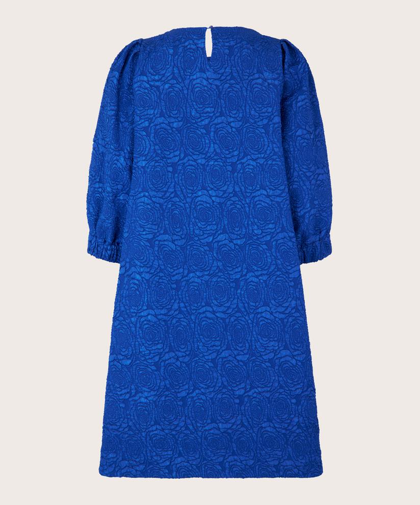 Nirisa Klänning, Surf the web