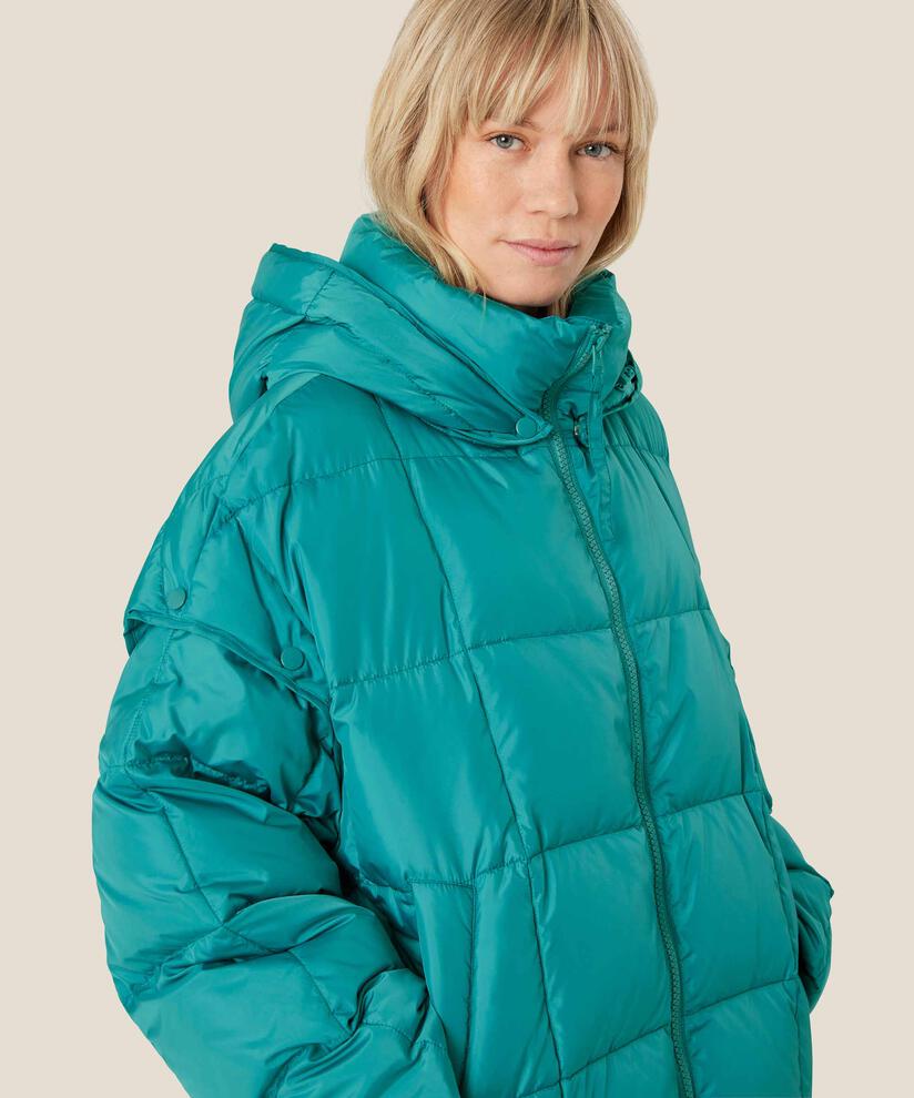 Tabiha Dunjacka, Teal