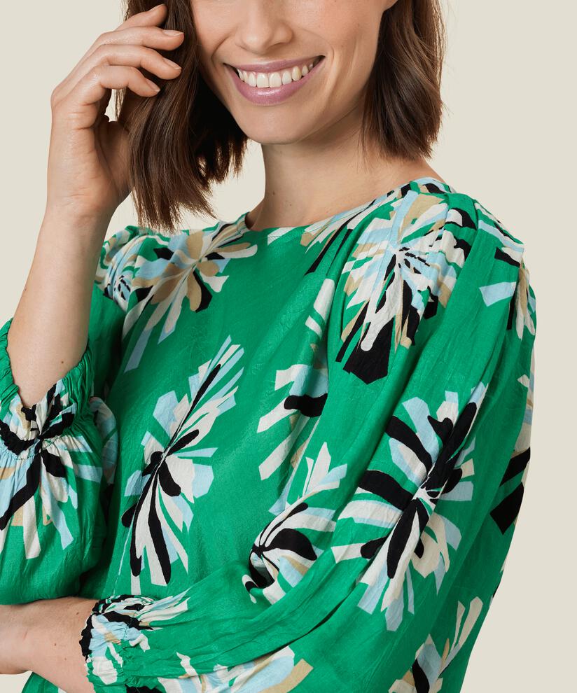 BRISASA BLUS, Viridis